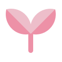 공정한 평가와 보상